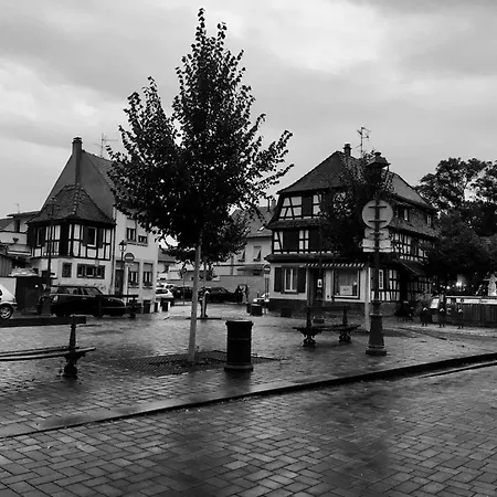 La Casetta En Alsace Apartament